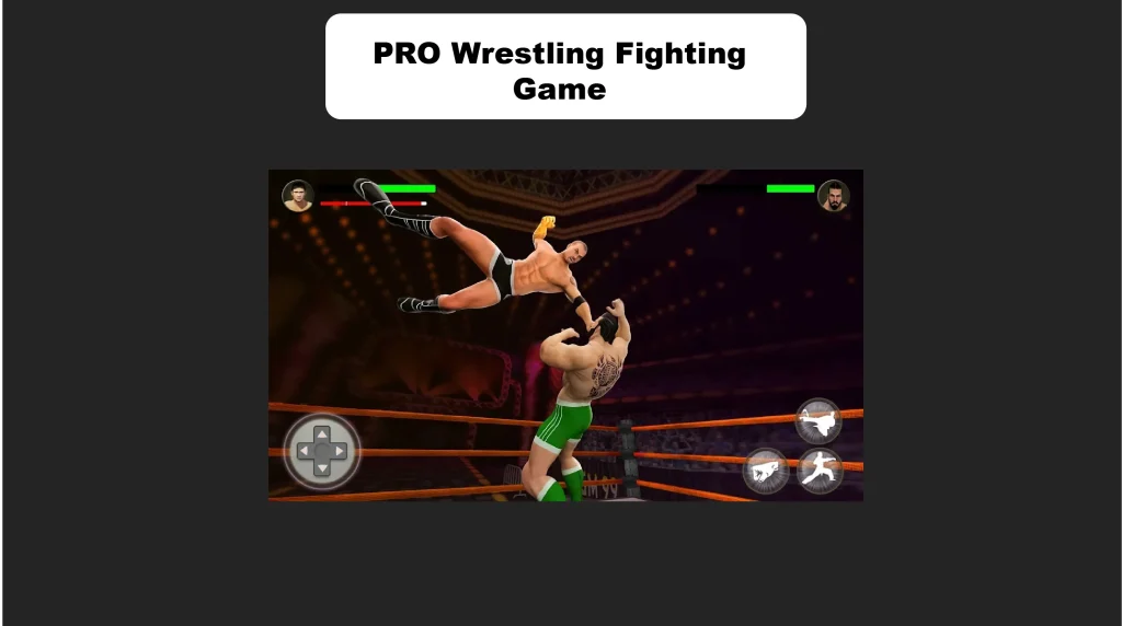 PRO Wrestling Fighting Game